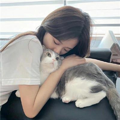 情杀案中案